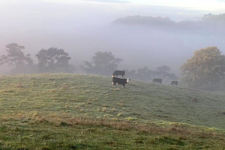 Photo of property in 186 Taylor Road, Waimauku, 0882