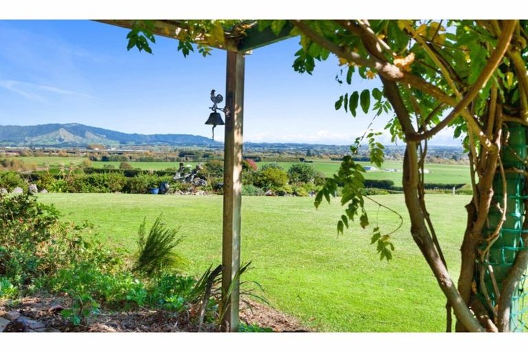 Photo of property in 155b Gow Road, Tirohanga, Opotiki, 3197