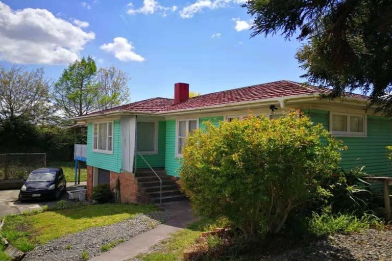 Photo of property in 16 Larnoch Road, Henderson, Auckland, 0610