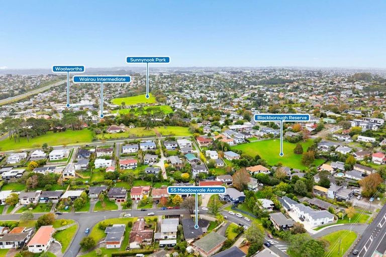 Photo of property in 55 Meadowvale Avenue, Forrest Hill, Auckland, 0620