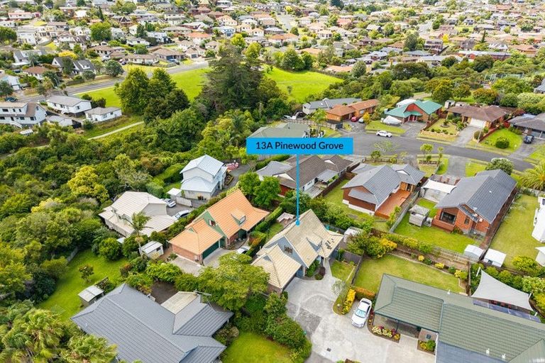 Photo of property in 2/13 Pinewood Grove, Botany Downs, Auckland, 2010