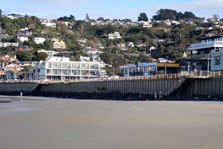 Photo of property in 142 Ravenswood Road, Saint Clair, Dunedin, 9012