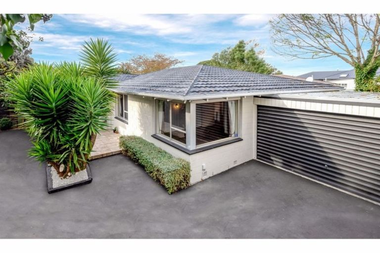 Photo of property in 22 Albany Street, St Albans, Christchurch, 8014