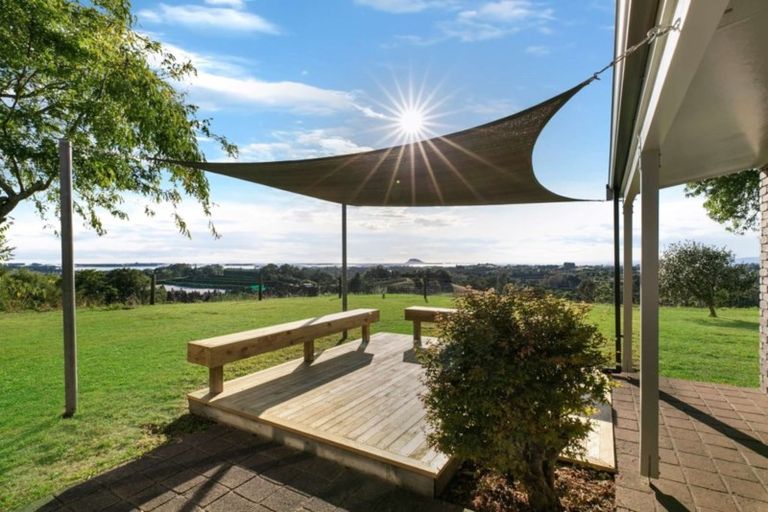 Photo of property in 157 Esdaile Road, Whakamarama, Tauranga, 3180