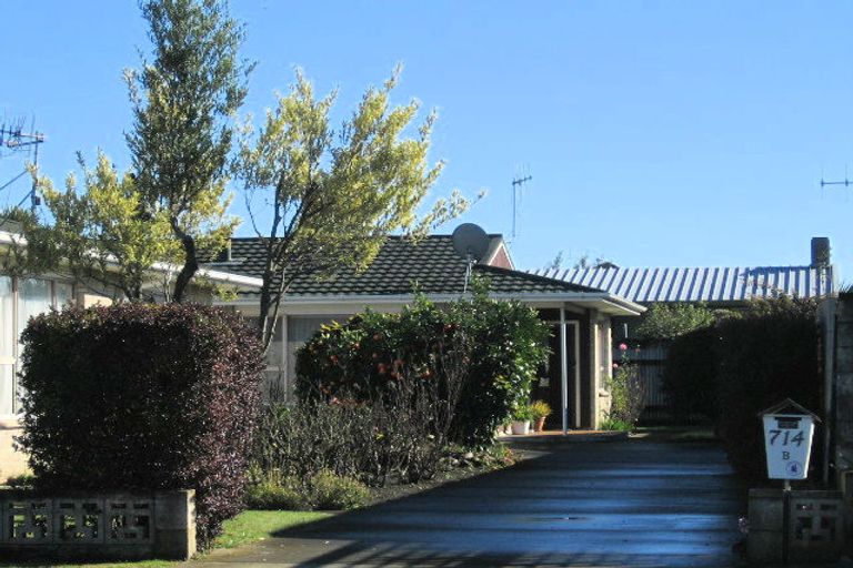 Photo of property in 714b Grays Road, Mahora, Hastings, 4120