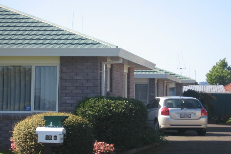 Photo of property in 12b Hayes Avenue, Gate Pa, Tauranga, 3112