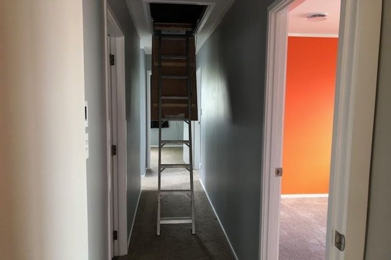 Photo of property in 17 Tree View Avenue, Glenfield, Auckland, 0629