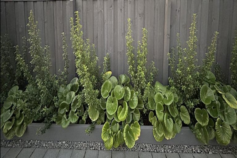 Photo of property in 39 Watkins Drive, Rangiora, 7400