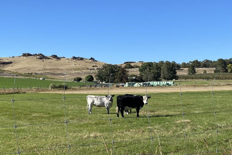 Photo of property in 272 Galloway Road, Galloway, Alexandra, 9393