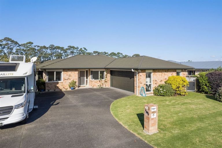 Photo of property in 43 Wills Road, Katikati, 3129