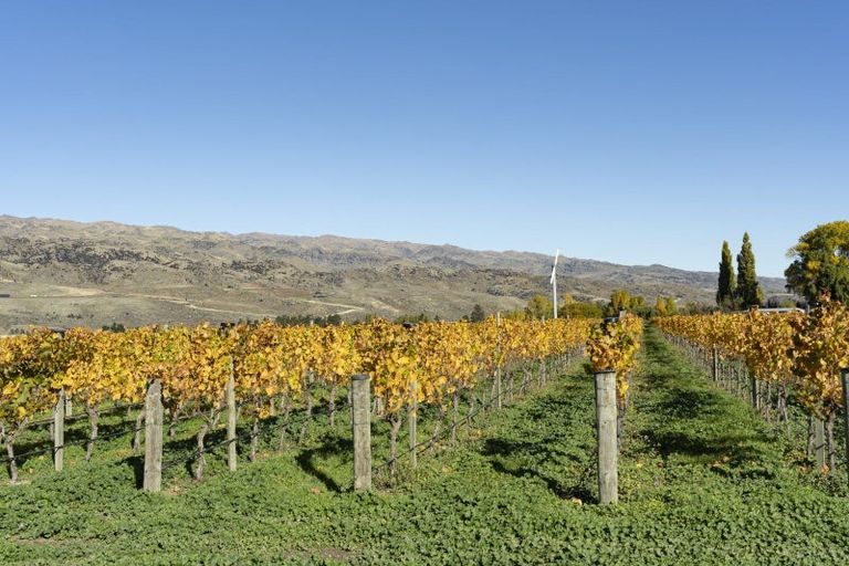 Photo of property in 1034 Luggate-cromwell Road, Mount Pisa, Cromwell, 9383