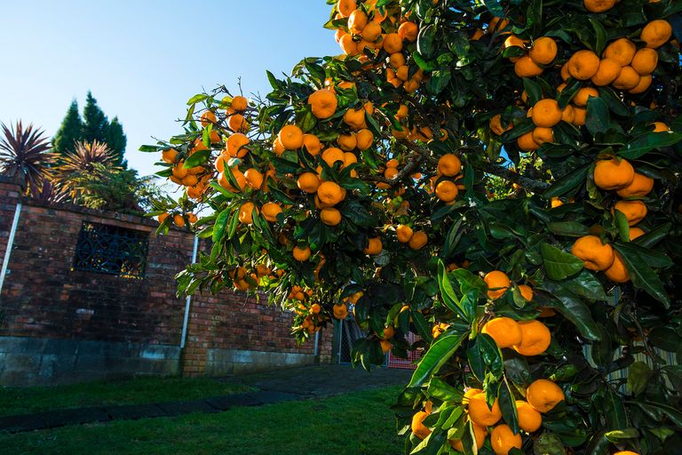 Photo of property in 214 Stout Street, Mangapapa, Gisborne, 4010