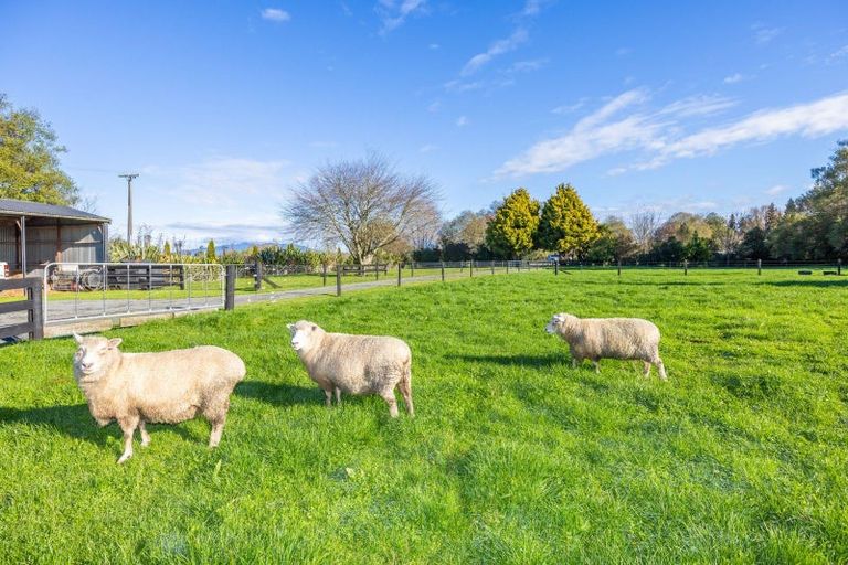 Photo of property in 75 Mill Road, Ohaupo, 3881