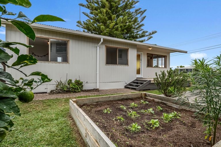 Photo of property in 185 Harbour Road, Ohope, 3121