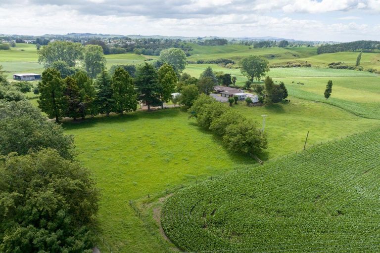 Photo of property in 113 Domain Road, Putaruru, 3482