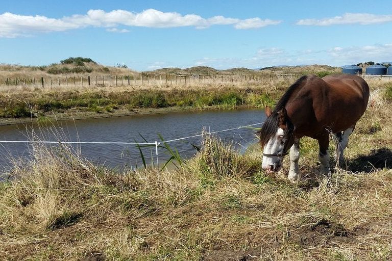 Photo of property in 48 Kanuka Drive, Waitarere, Levin, 5510
