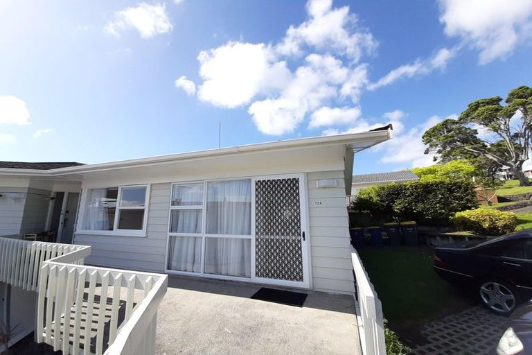 Photo of property in 12 Mayfair Crescent, Mairangi Bay, Auckland, 0630