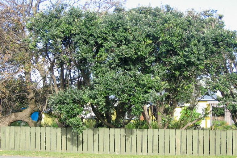 Photo of property in 25 Manuka Street, Otaki Beach, Otaki, 5512