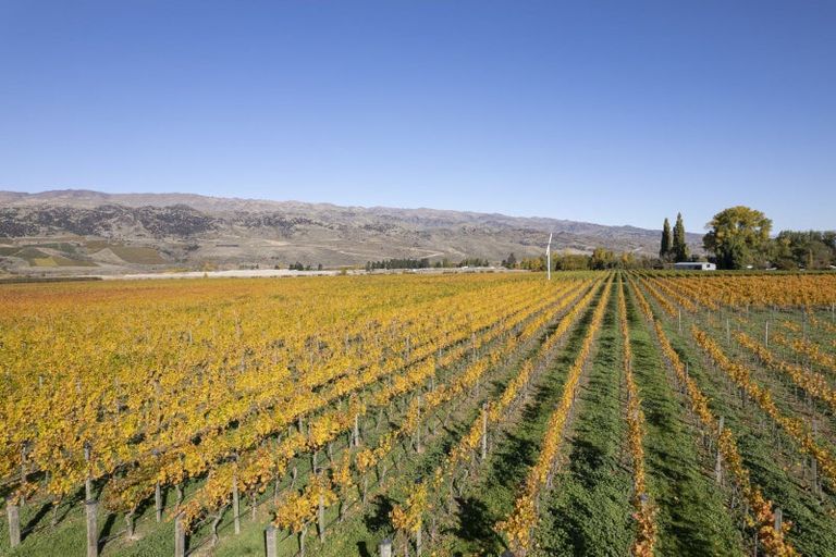 Photo of property in 1034 Luggate-cromwell Road, Mount Pisa, Cromwell, 9383