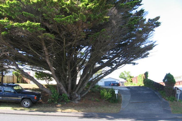 Photo of property in 24 Sycamore Drive, Sunnynook, Auckland, 0620
