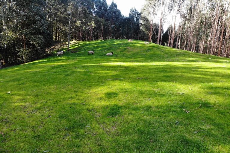 Photo of property in 74 Mick Dillon Road, Tahekeroa, Kaukapakapa, 0873