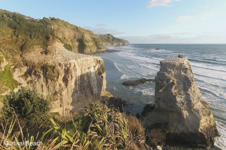 Photo of property in 36 Vintry Drive, Huapai, 0810