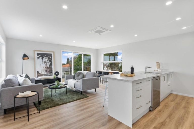 Photo of property in 41a Maxwell Avenue, Durie Hill, Wanganui, 4500