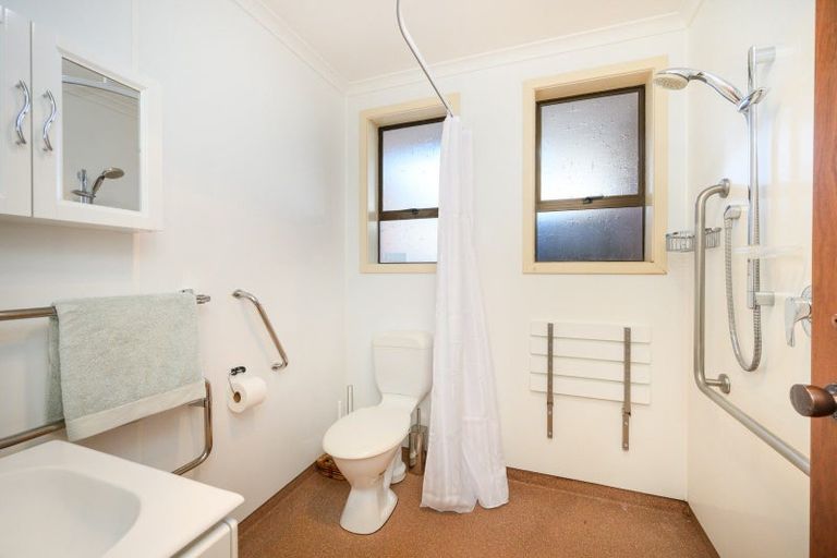 Photo of property in 74 Albert Street, Palmerston North, 4414