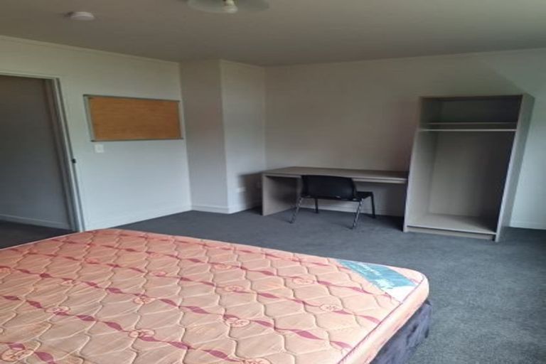Photo of property in Willowbank Quarter, 28/8 Willowbank, North Dunedin, Dunedin, 9016