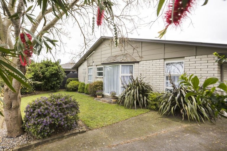 Photo of property in 57 Fairview Avenue, Feilding, 4702