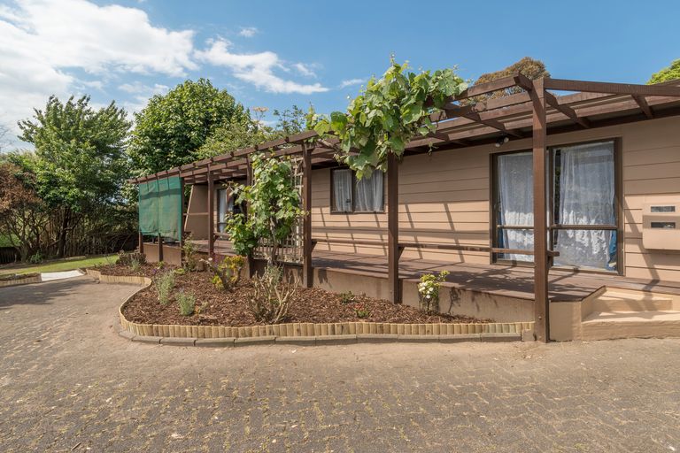 Photo of property in 36 Wylie Street, Gate Pa, Tauranga, 3112