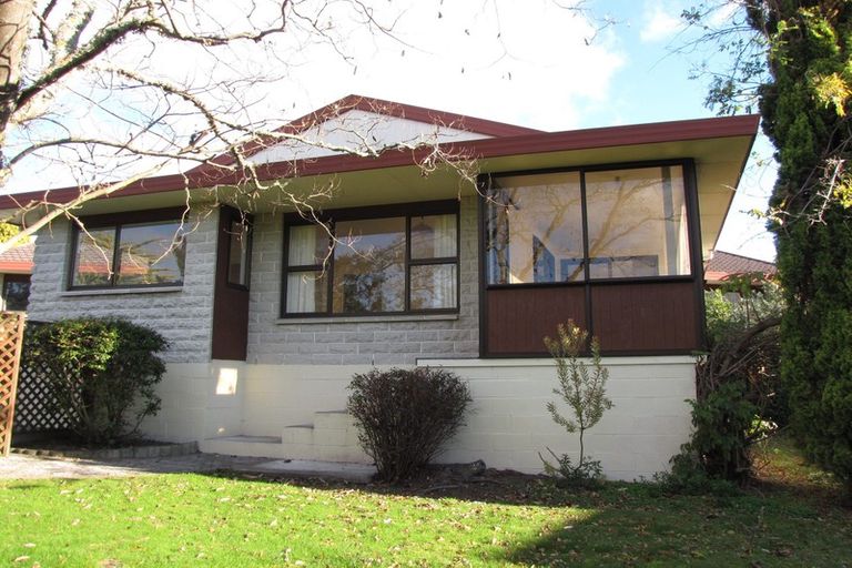 Photo of property in 3 Padfield Place, Havelock North, 4130