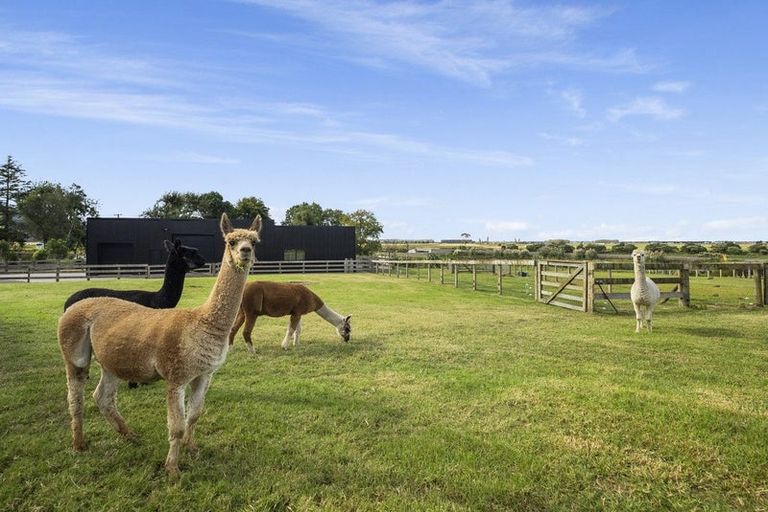 Photo of property in 503b Te Puke Highway, Te Puke, 3187