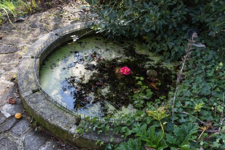 Photo of property in 30 Mill Road, Clive, 4102