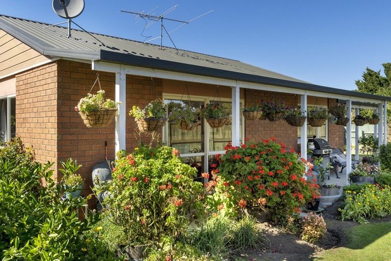 Photo of property in 3 Marldene Avenue, Seddon, 7210