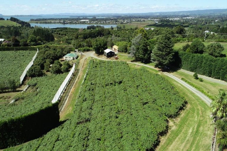 Photo of property in 6 Woodland Road, Johnsonville, Wellington, 6037