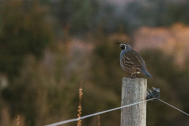 Photo of property in 217 Stevenson Road, Wanaka, 9382