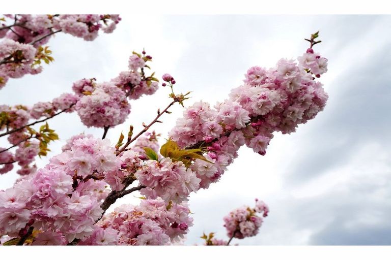 Photo of property in 150 Bay Road, Grasmere, Invercargill, 9810