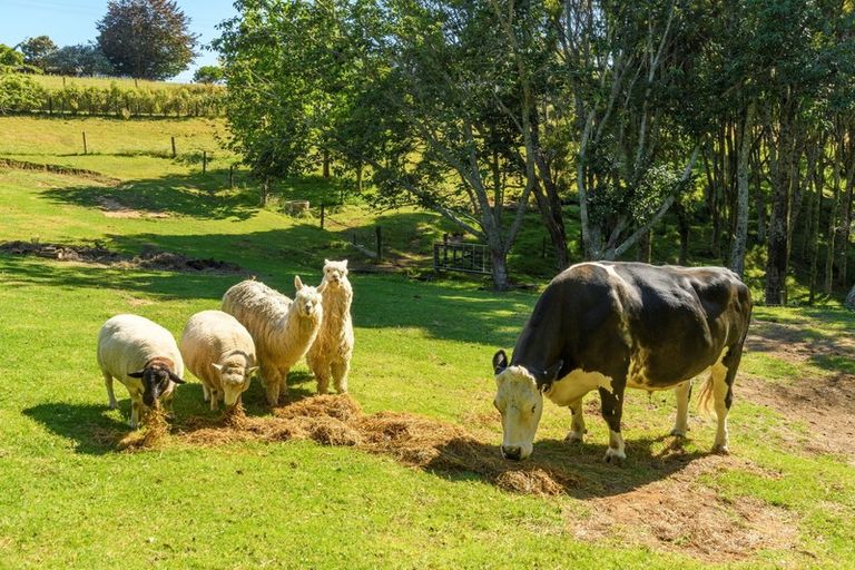 Photo of property in 173 Thompsons Track, Aongatete, Katikati, 3178