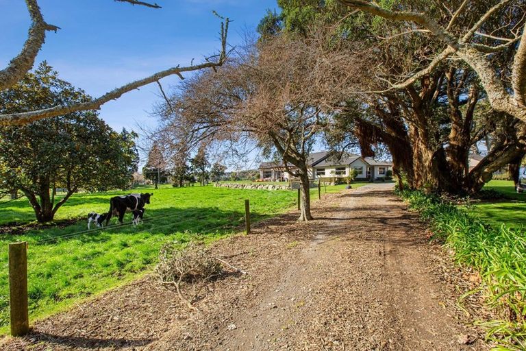 Photo of property in 177 Puniho Road, Warea, New Plymouth, 4381