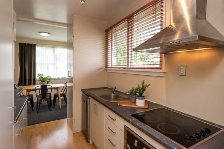 Photo of property in 58 Bordesley Street, Phillipstown, Christchurch, 8011