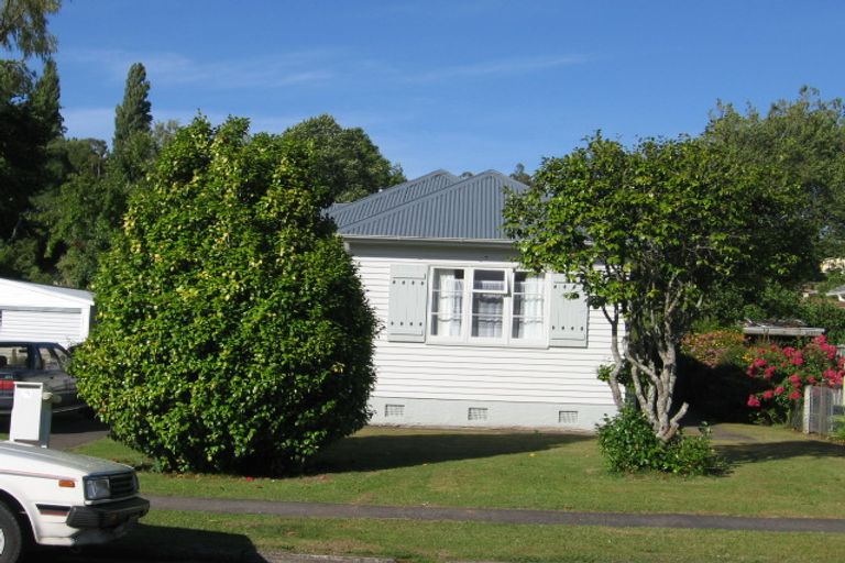 Photo of property in 21 Hinerangi Street, Te Kuiti, 3910