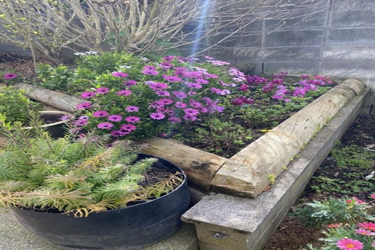 Photo of property in 100 Centennial Avenue, Waitara, 4320