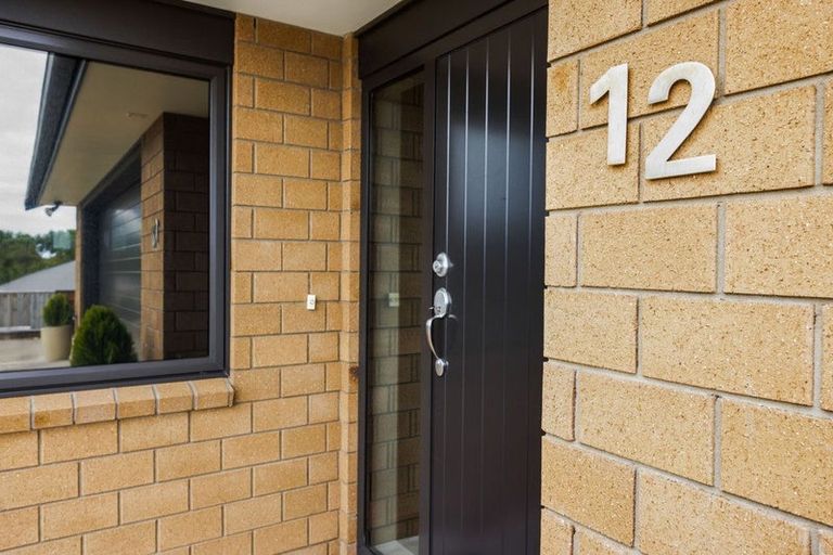 Photo of property in 12 Nikau Place, Hawera, 4610