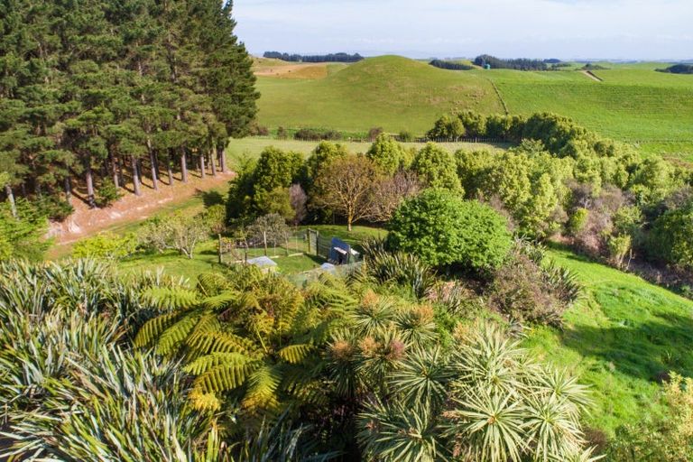 Photo of property in 484 Finnis Road, Pohangina, Feilding, 4775