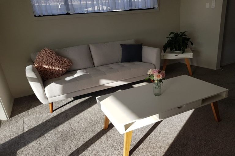 Photo of property in 180 Clarkin Road, Fairfield, Hamilton, 3214