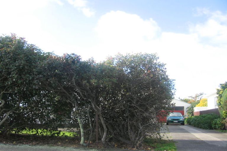 Photo of property in 47 Burns Avenue, Takaro, Palmerston North, 4412