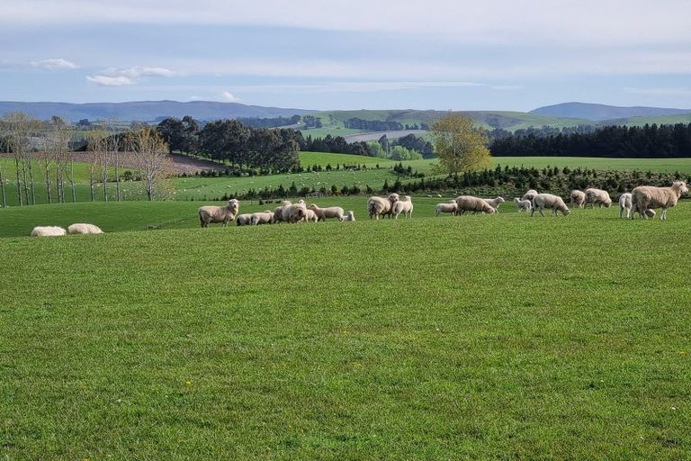 Photo of property in 1446a Clydevale Road, Clydevale, 9274