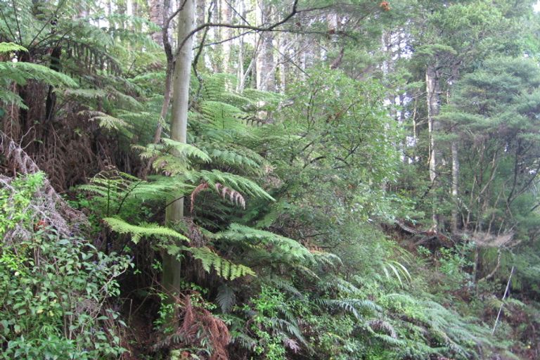 Photo of property in 18 Manuka Road, Titirangi, Auckland, 0604