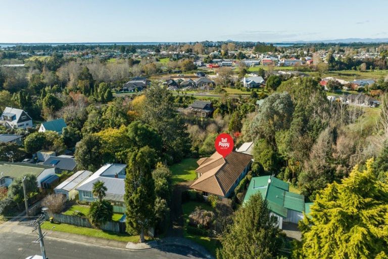 Photo of property in 25 Macmillan Street, Katikati, 3129